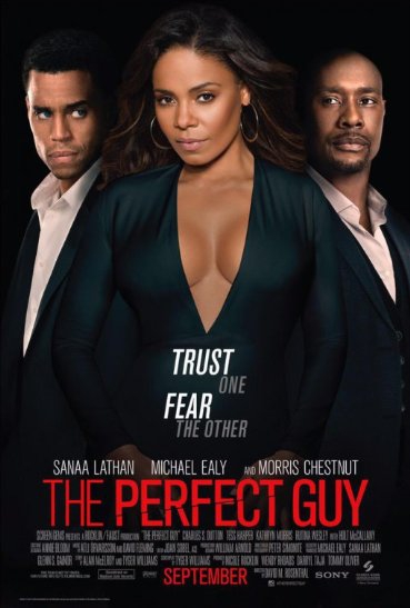  The Perfect Guy (2015)