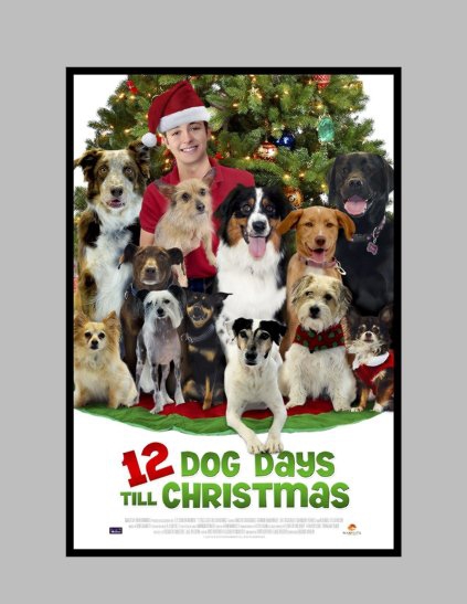  12 Dog Days Till Christmas (2014)