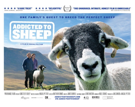  Addicted to Sheep (2015)