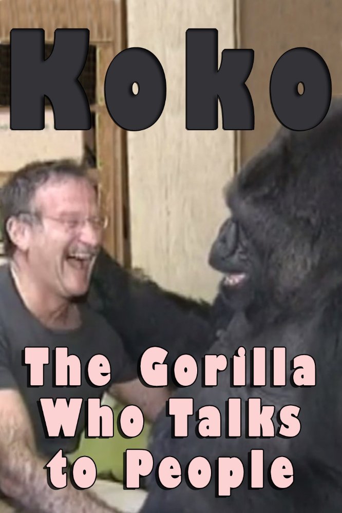  Koko: The Gorilla Who Talks to People (2016)