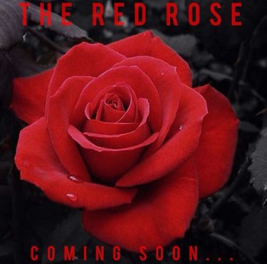 The Red Rose (2016)