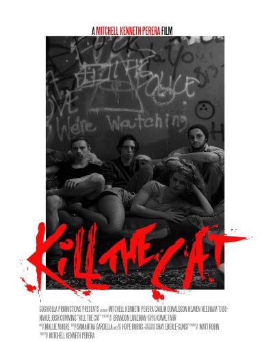  Kill the Cat (2016)