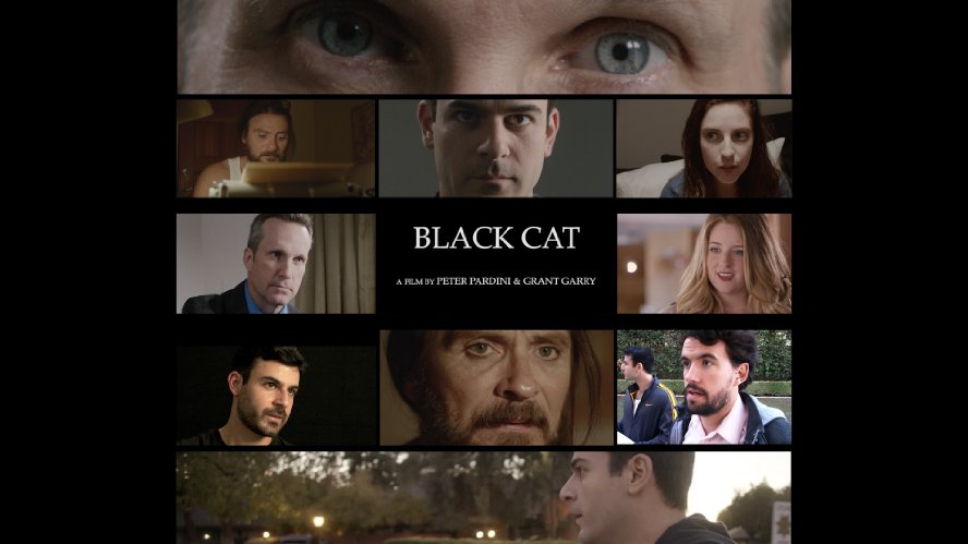  Black Cat (2016)