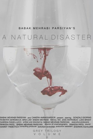  A Natural Disaster (2016)