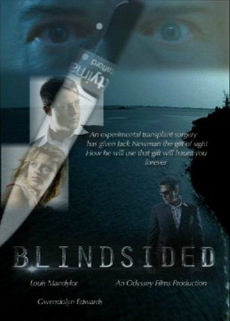 Blindsided (2017)