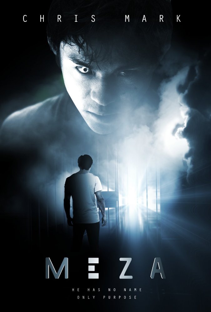  Meza (2017)