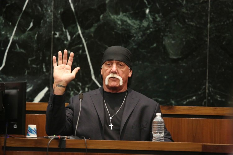  Nobody Speak: Hulk Hogan, Gawker and Trials of a Free Press (2017)
