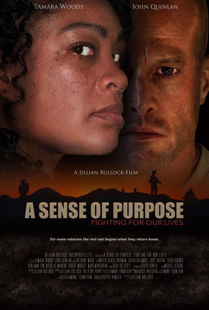  A Sense of Purpose: Fighting for Our Lives (2017)