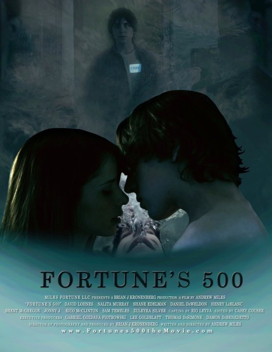  Fortune's 500 (2017)