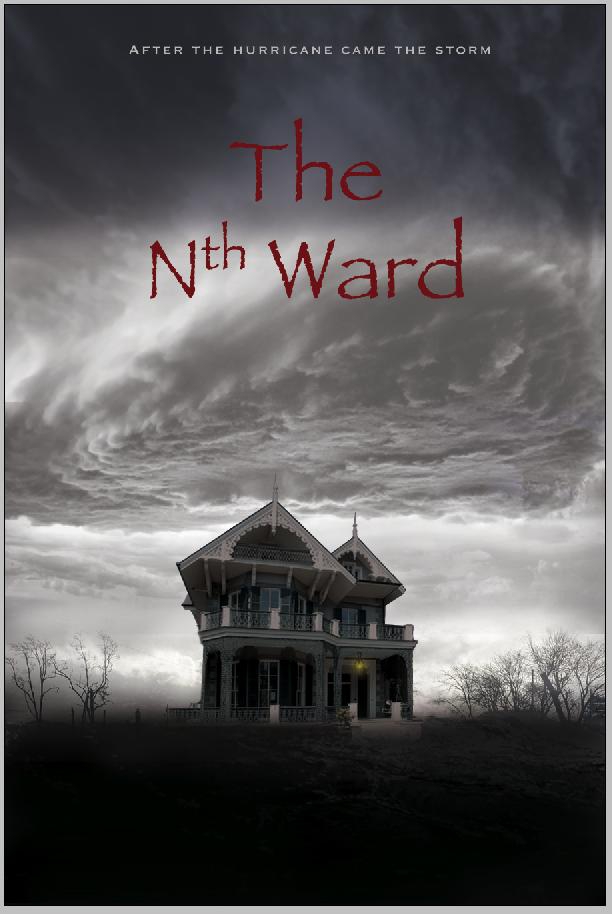  The Nth Ward (2017)