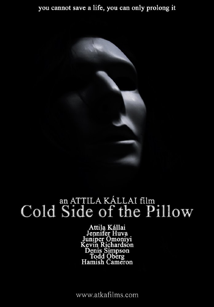  Cold Side of the Pillow (2017)