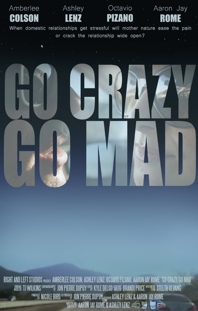  Go Crazy Go Mad (2017)