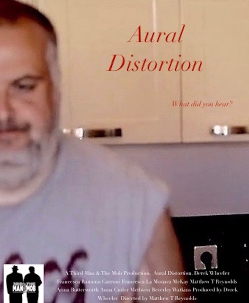 Aural Distortion (2017)