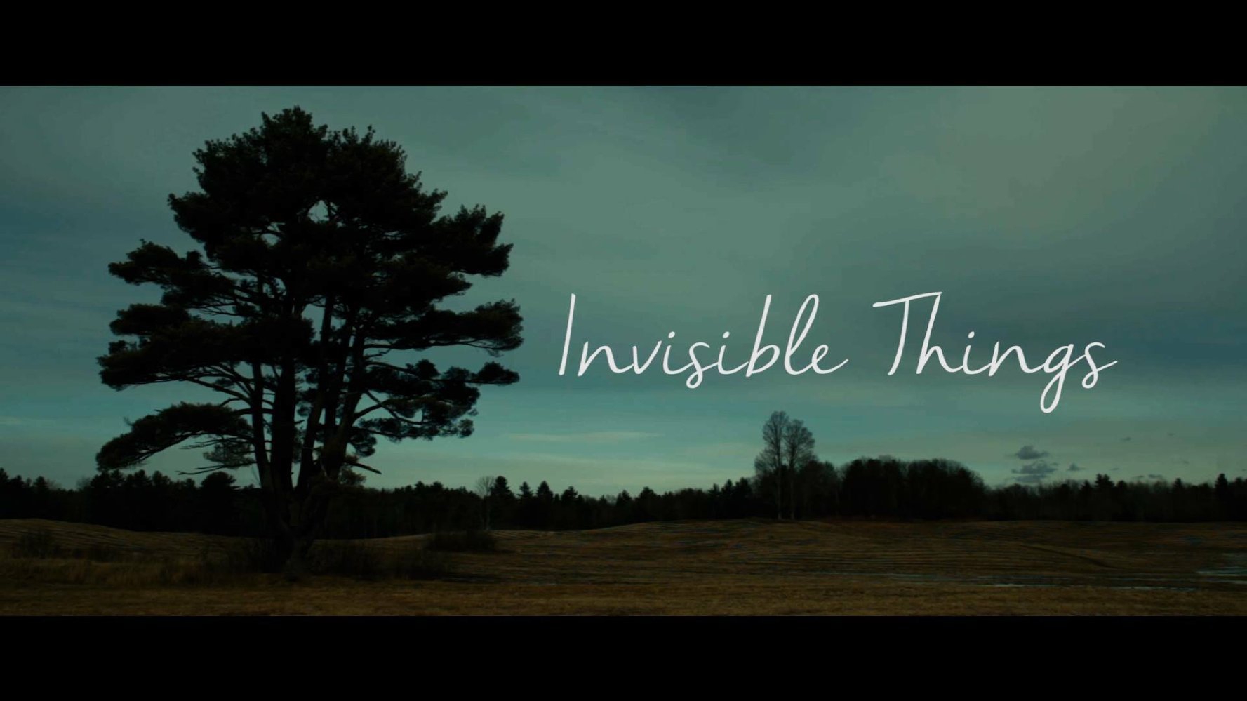  Invisible Things (2017)