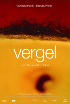 Vergel (2017)