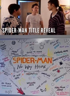  Spider-Man: No Way Home (2021)